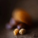 Light Roast - Latin America Single Origin - 'Juicy, Nutty'