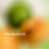 Ethiopia Guji Tebe Burka G1