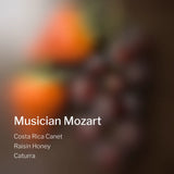 Costa Rica Canet Musician Mozart
