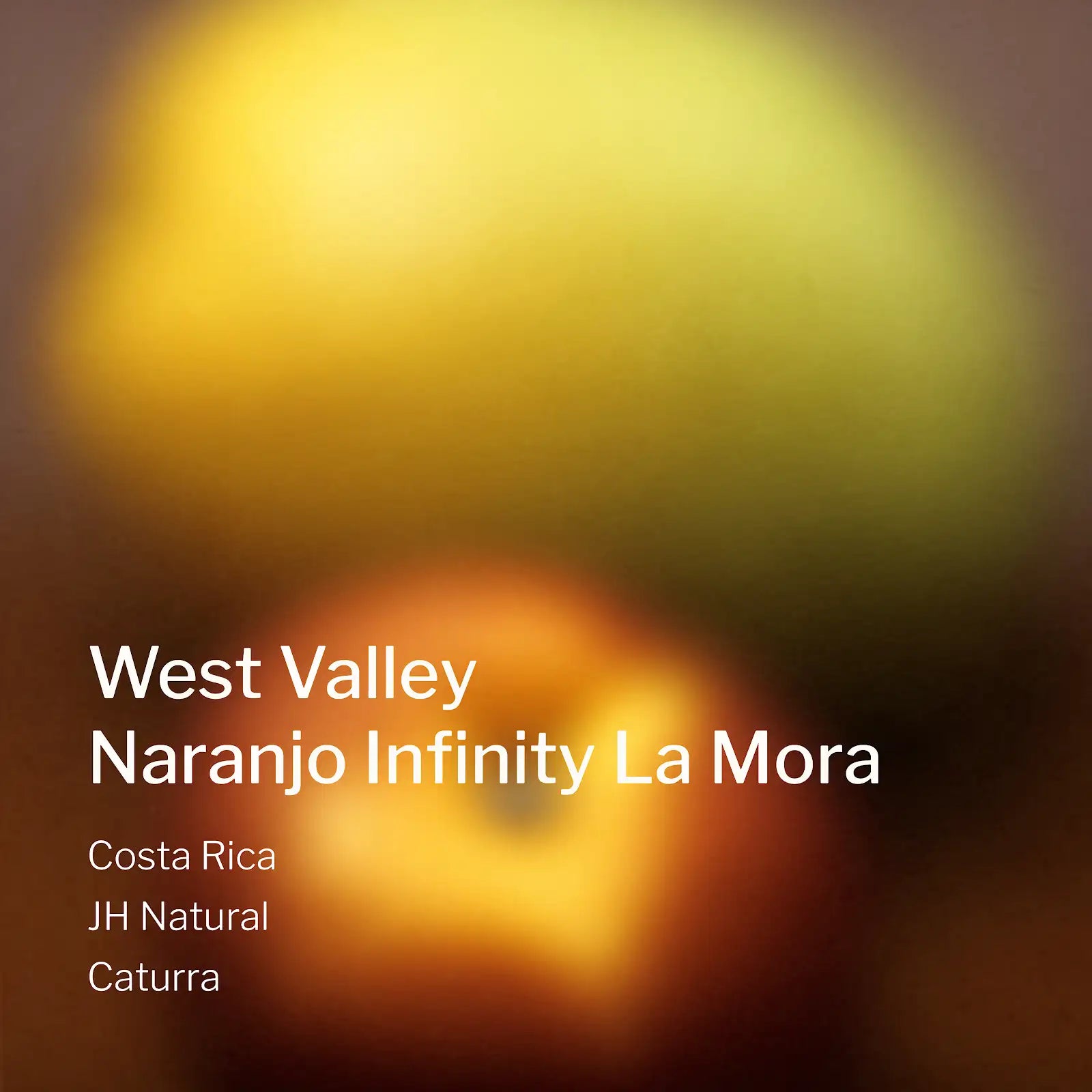 Ang Ang Roastery Costa Rica West Valley Naranjo Infinity La Mora – specialty coffee beans Malaysia