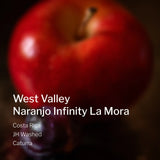 Costa Rica West Valley Naranjo Infinity La Mora