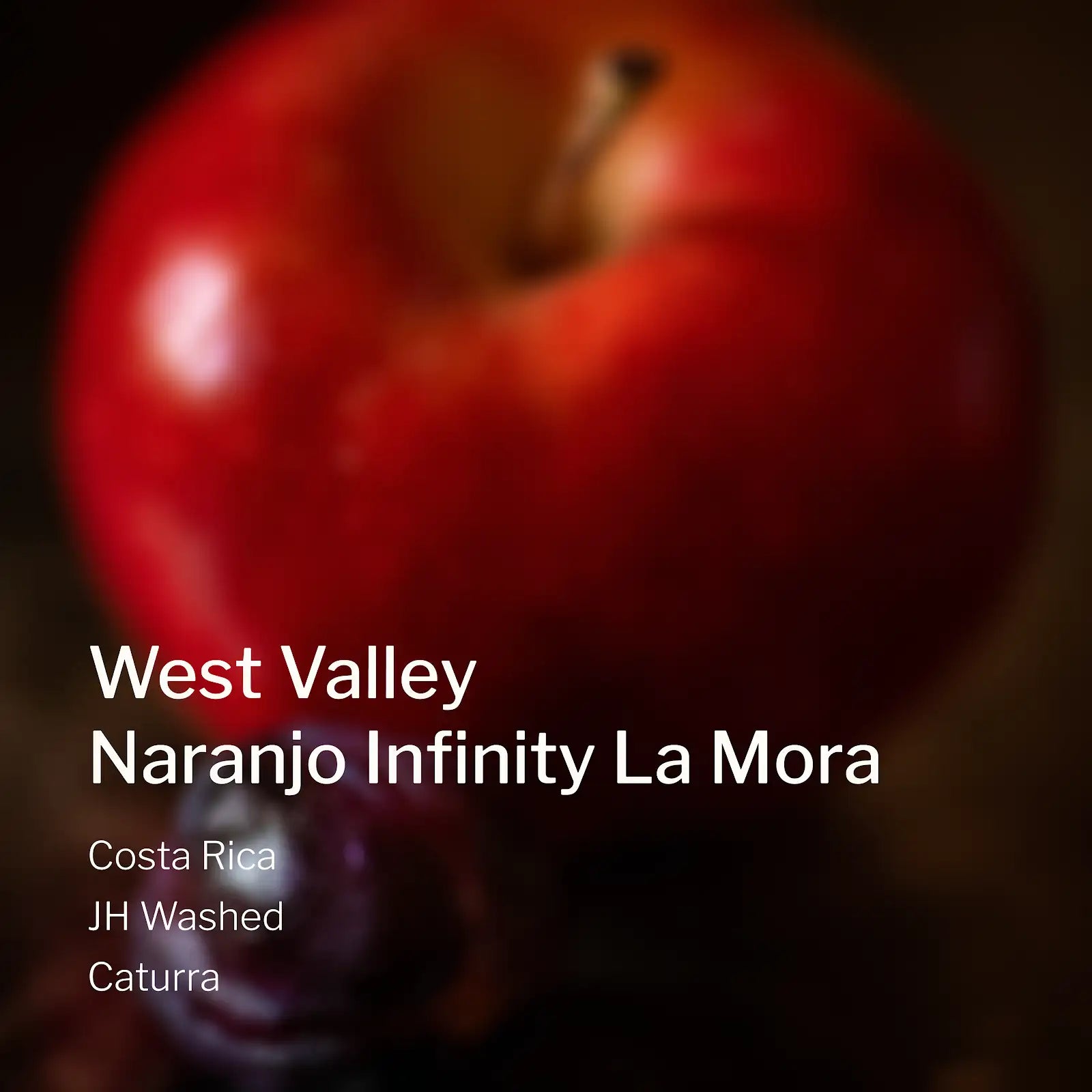 Ang Ang Roastery Costa Rica West Valley Naranjo Infinity La Mora – specialty coffee beans Malaysia