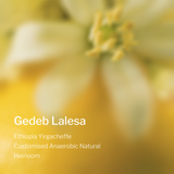 Ethiopia Yirgacheffe Gedeb Lalesa