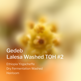 Ethiopia Yirgacheffe Gedeb Lalesa Washed TOH #2