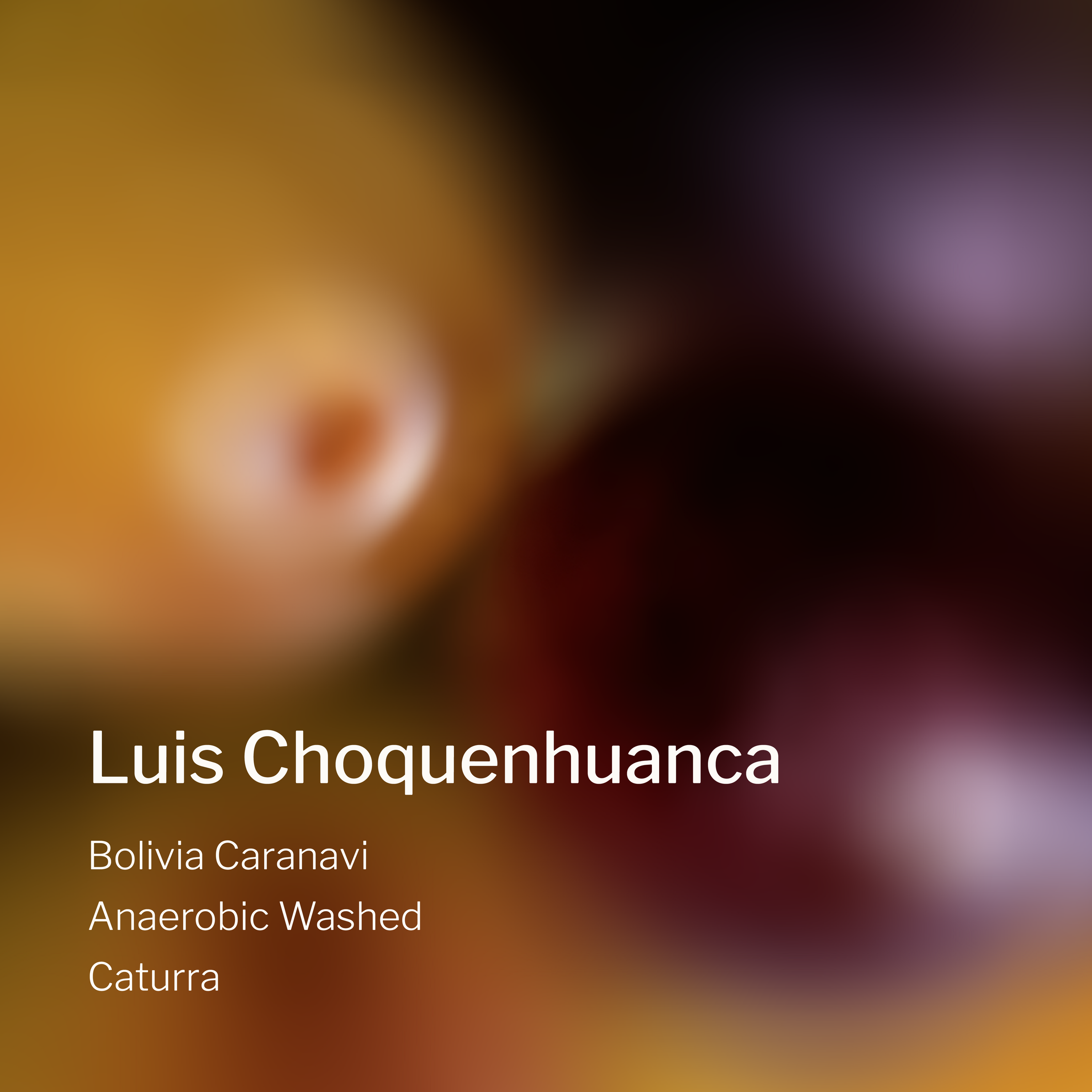 Ang Ang Roastery Bolivia Caranavi Luis Choquenhuanca – specialty coffee beans Malaysia