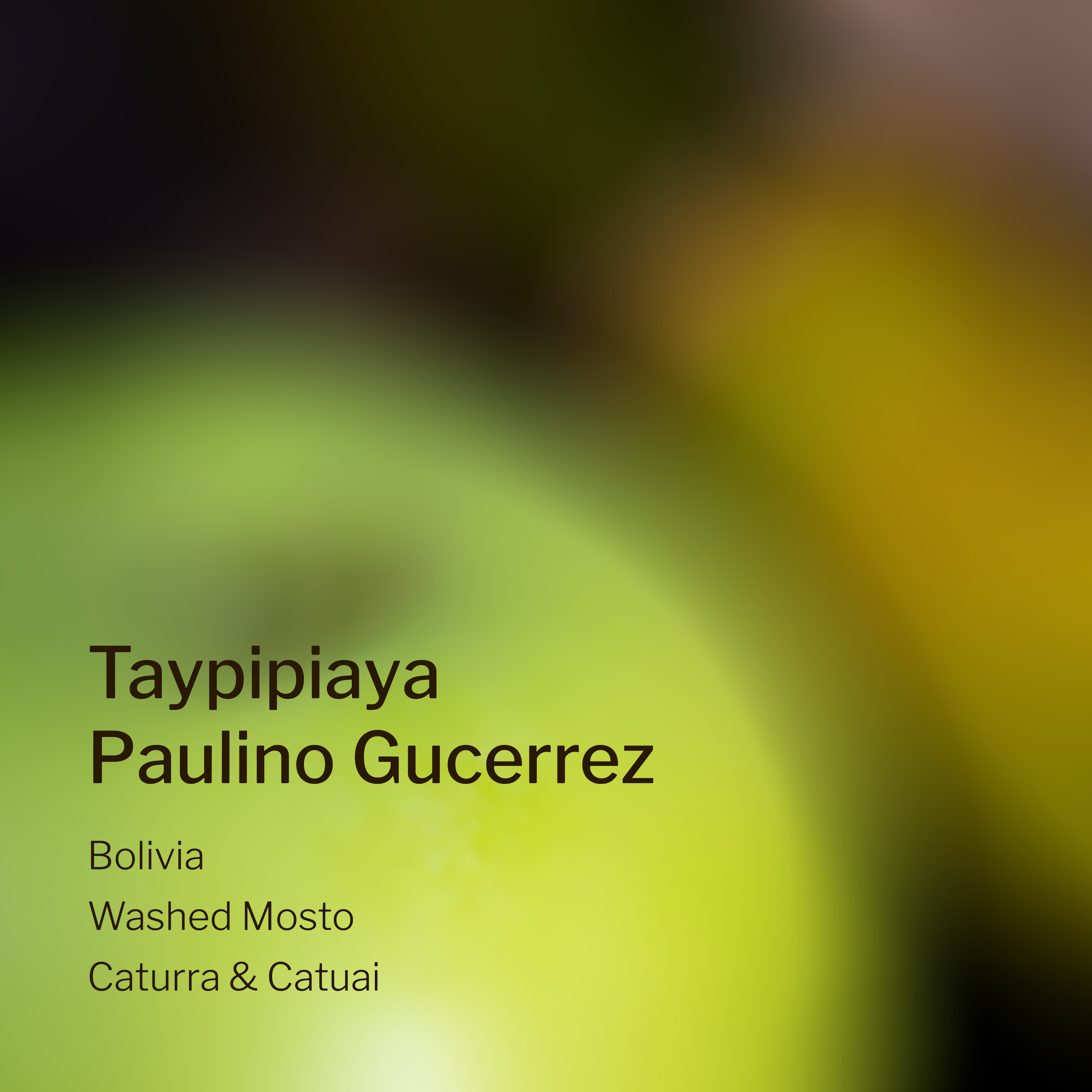Ang Ang Roastery Bolivia Taypipiaya Paulino Gucerrez – specialty coffee beans Malaysia
