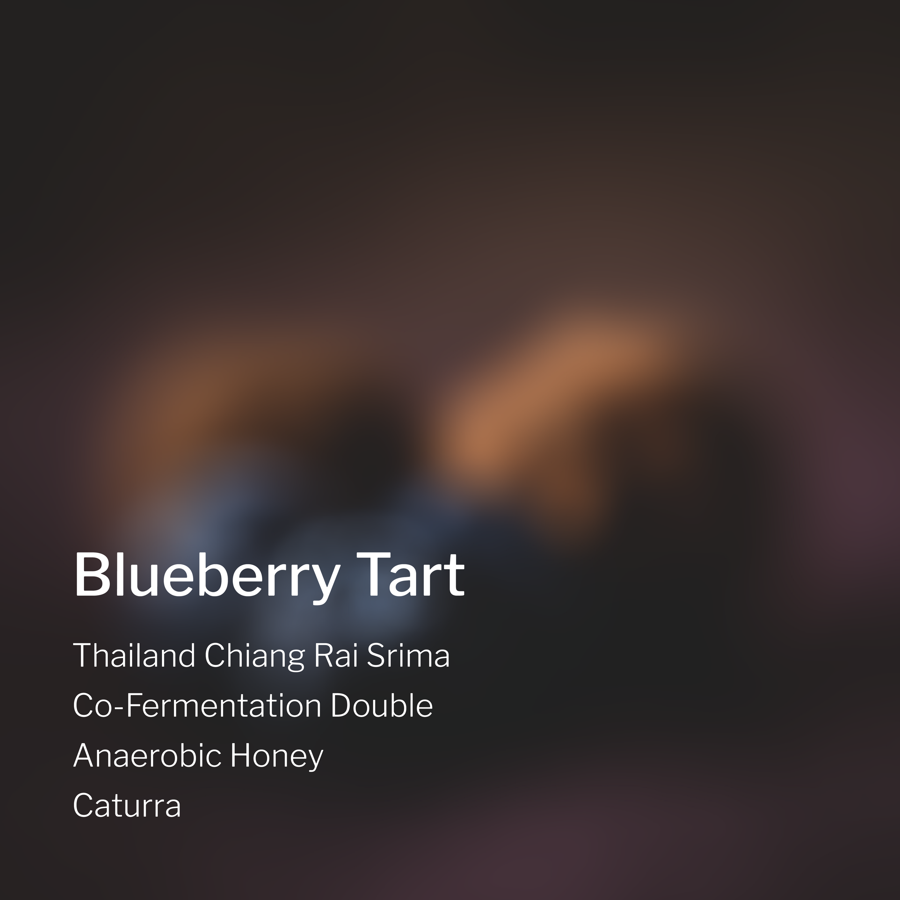 Ang Ang Roastery Blueberry Tart Thailand Chiang Rai Srima – specialty coffee beans Malaysia