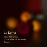 Costa Rica Tarazzu La Loma