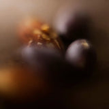 Medium Light Roast - Asia Single Origin - 'Herby, Nutty'
