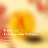 Panama Hacienda La Esmeralda Peaberry Natural Geisha