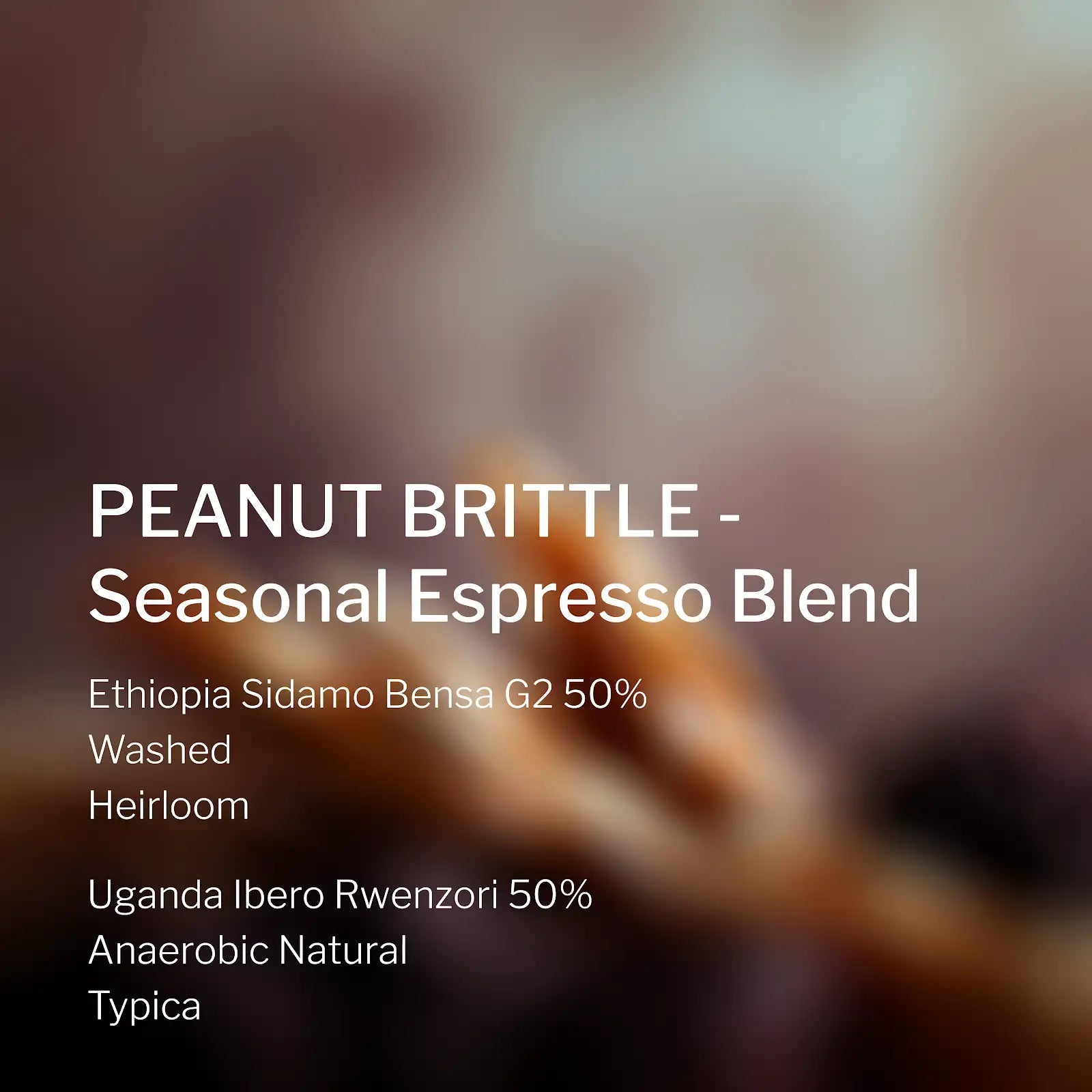 Ang Ang Roastery PEANUT BRITTLE - Seasonal Espresso Blend – specialty coffee beans Malaysia