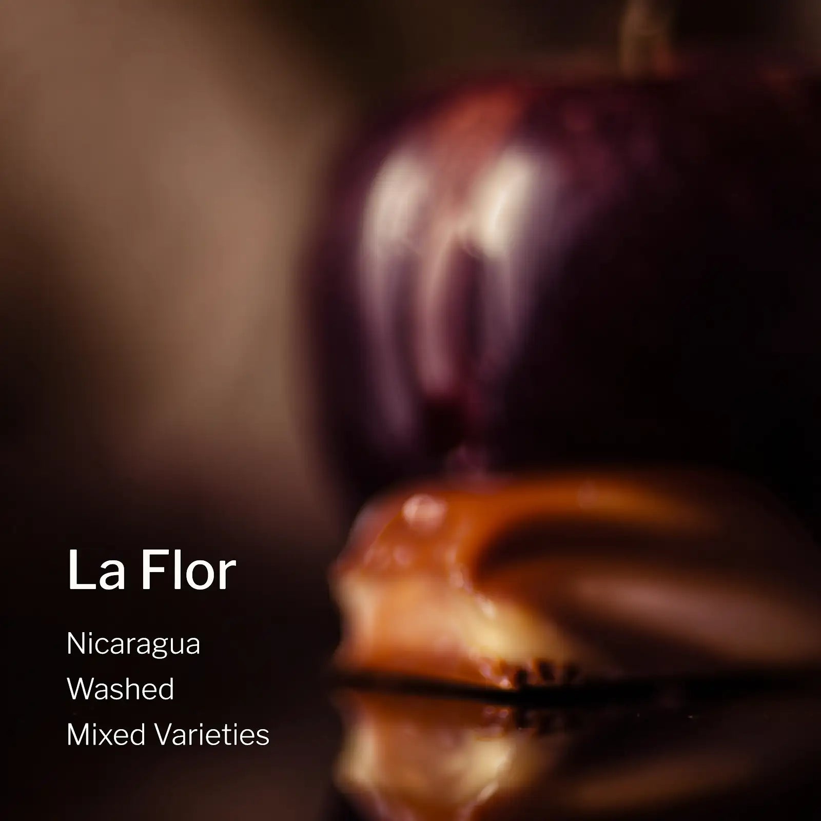 Ang Ang Roastery Nicaragua La Flor – specialty coffee beans Malaysia