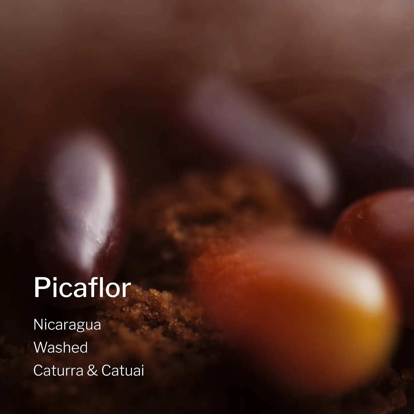 Ang Ang Roastery Nicaragua Picaflor – specialty coffee beans Malaysia