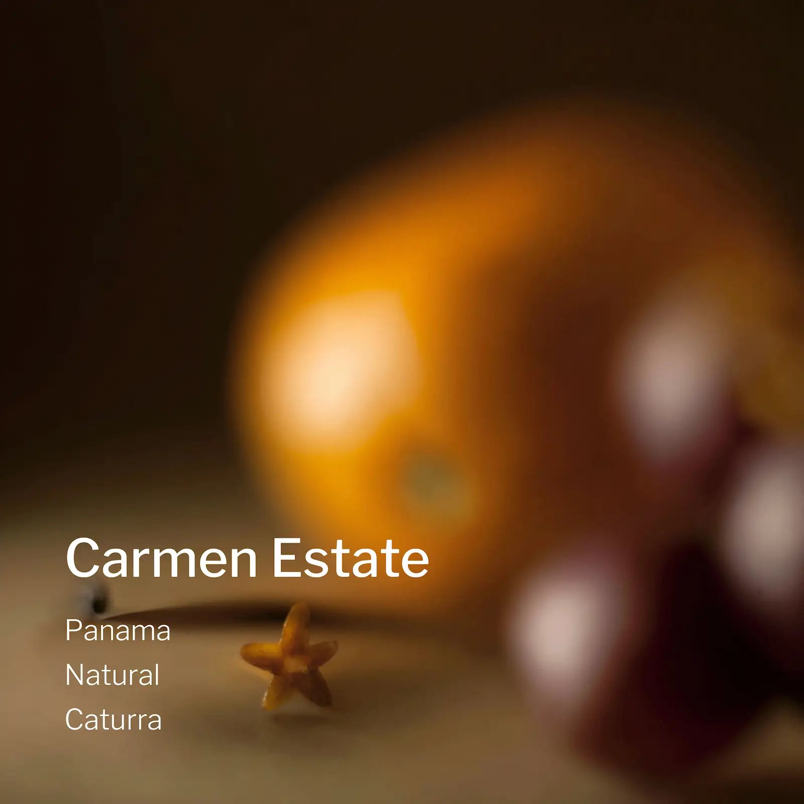 Ang Ang Roastery Panama Carmen Estate – specialty coffee beans Malaysia
