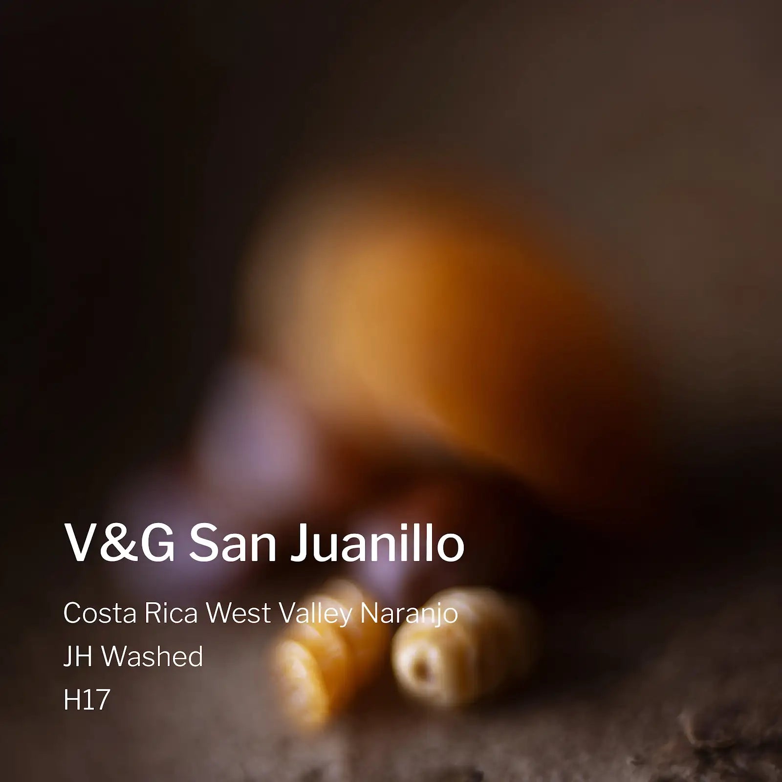 Ang Ang Roastery Costa Rica West Valley Naranjo V&G San Juanillo – specialty coffee beans Malaysia