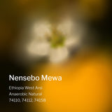Ethiopia West Arsi Nensebo Mewa