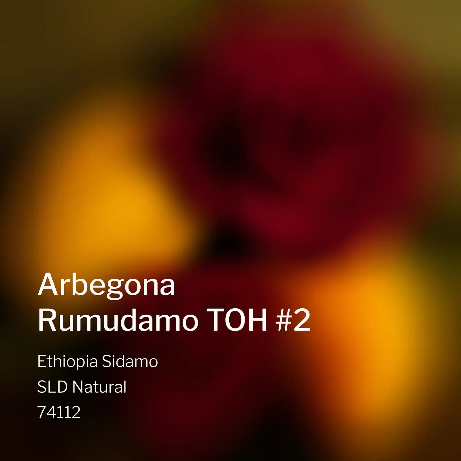 Ang Ang Roastery Ethiopia Sidamo Arbegona Rumudamo TOH #2 – specialty coffee beans Malaysia