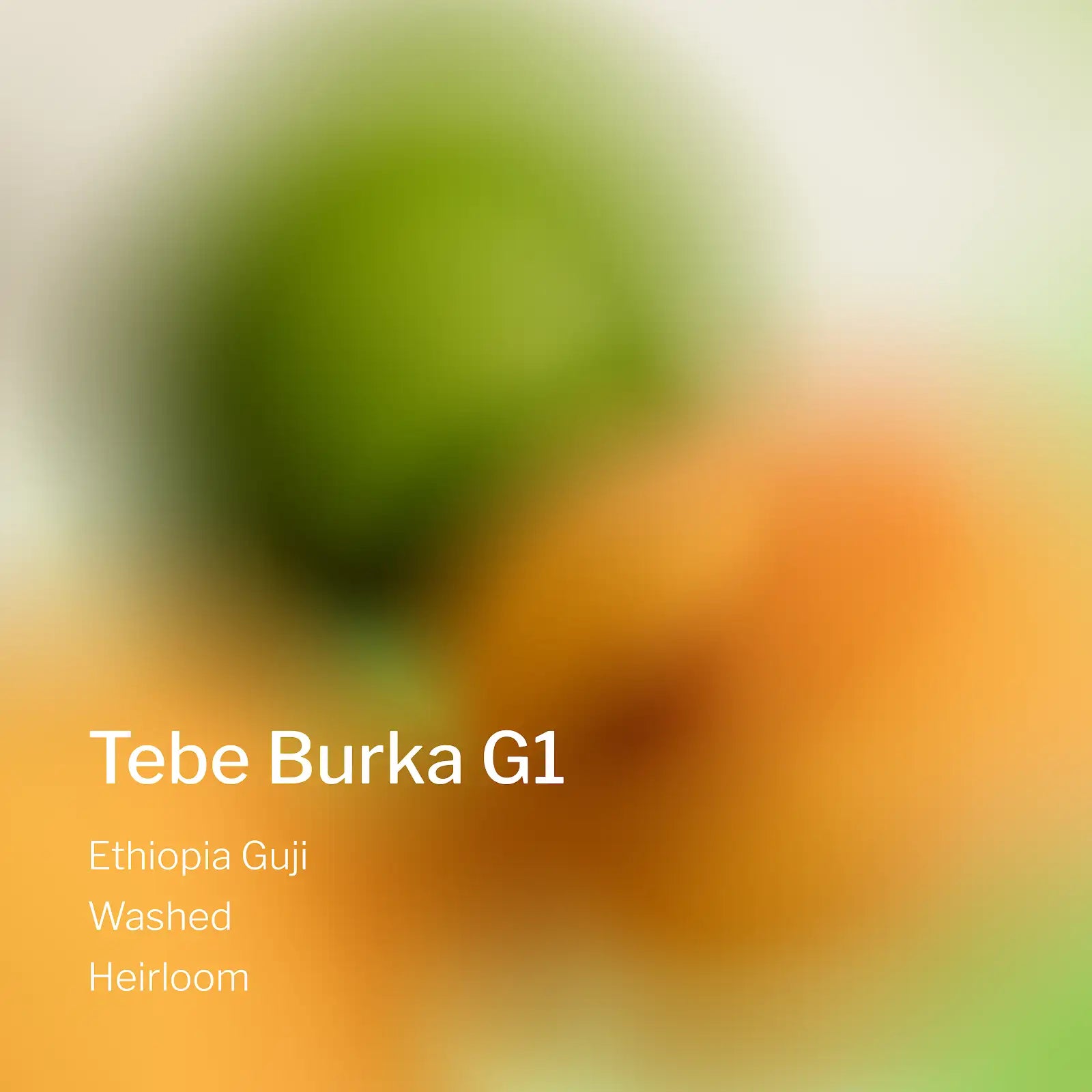 Ang Ang Roastery Ethiopia Guji Tebe Burka G1 – specialty coffee beans Malaysia