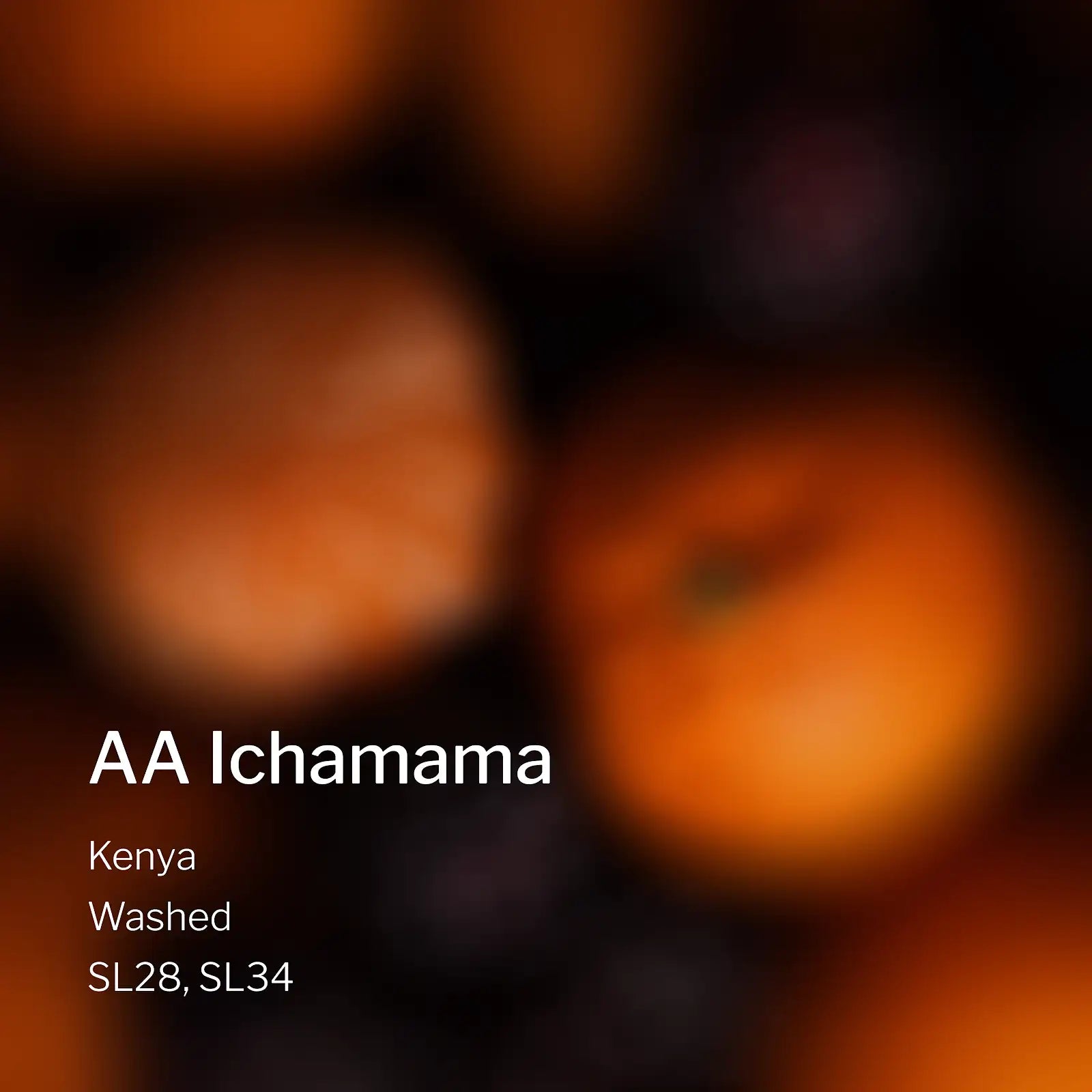 Ang Ang Roastery Kenya AA Ichamama – specialty coffee beans Malaysia