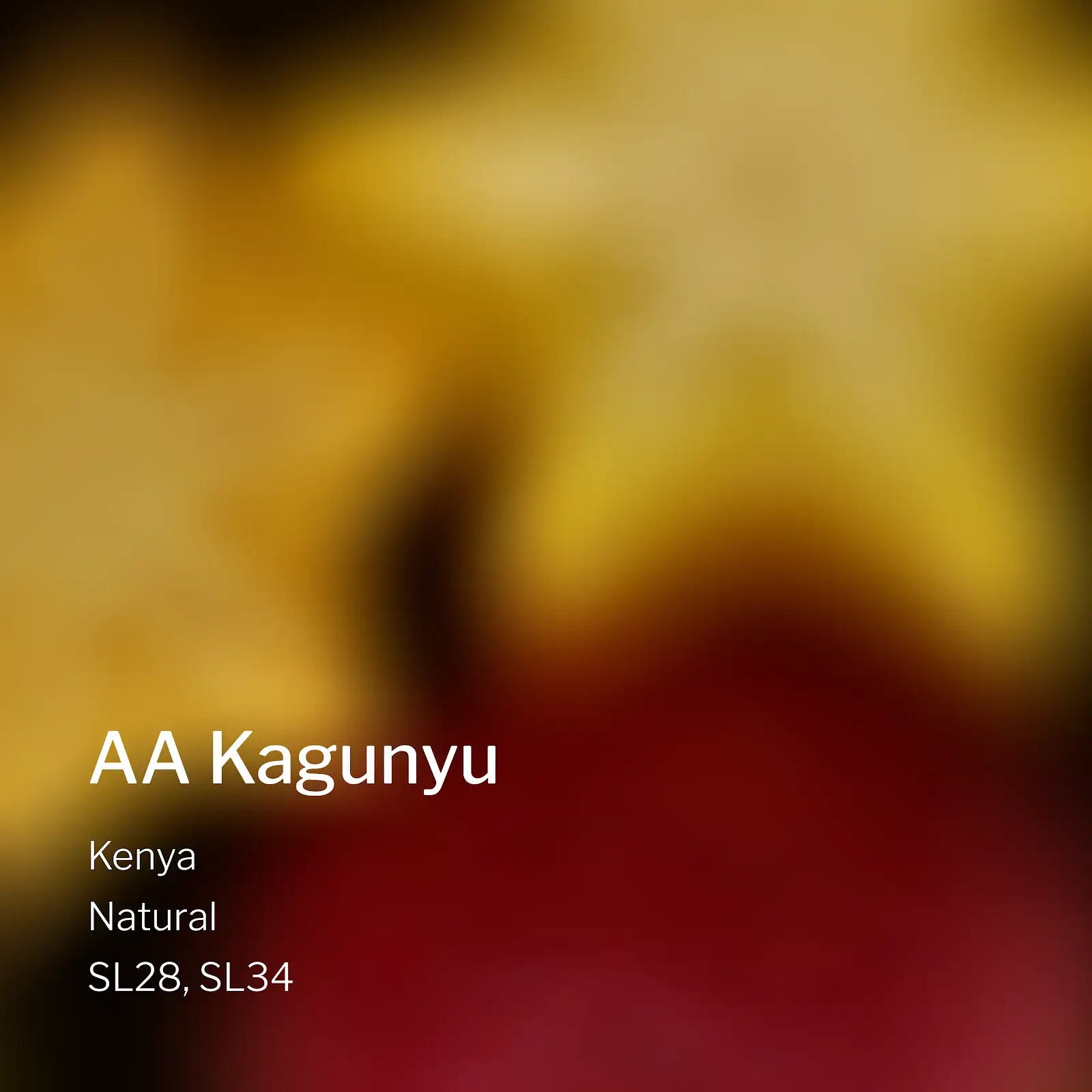 Ang Ang Roastery Kenya AA Kagunyu – specialty coffee beans Malaysia