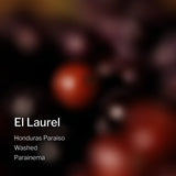 Honduras Paraiso El Laurel