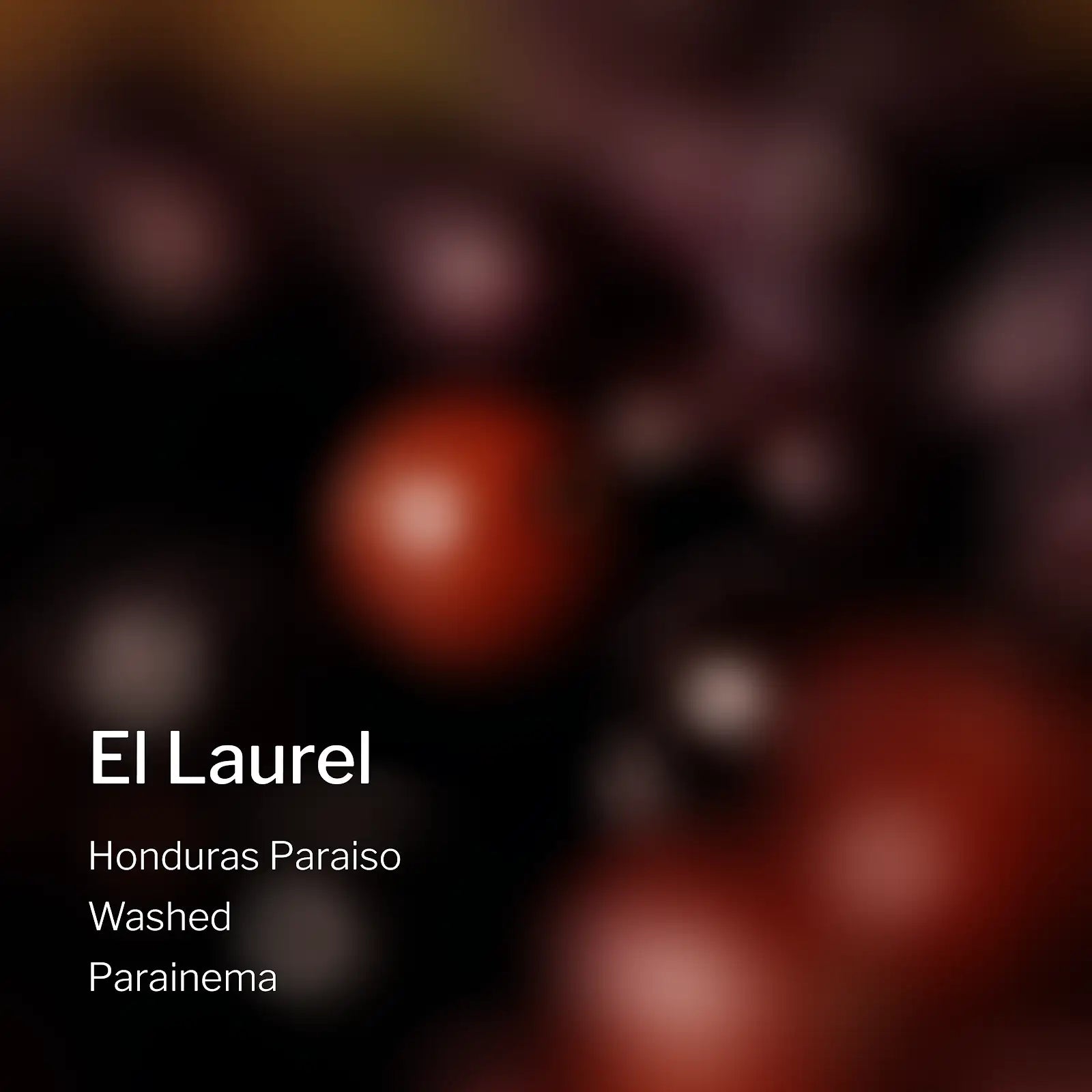 Ang Ang Roastery Honduras Paraiso El Laurel – specialty coffee beans Malaysia
