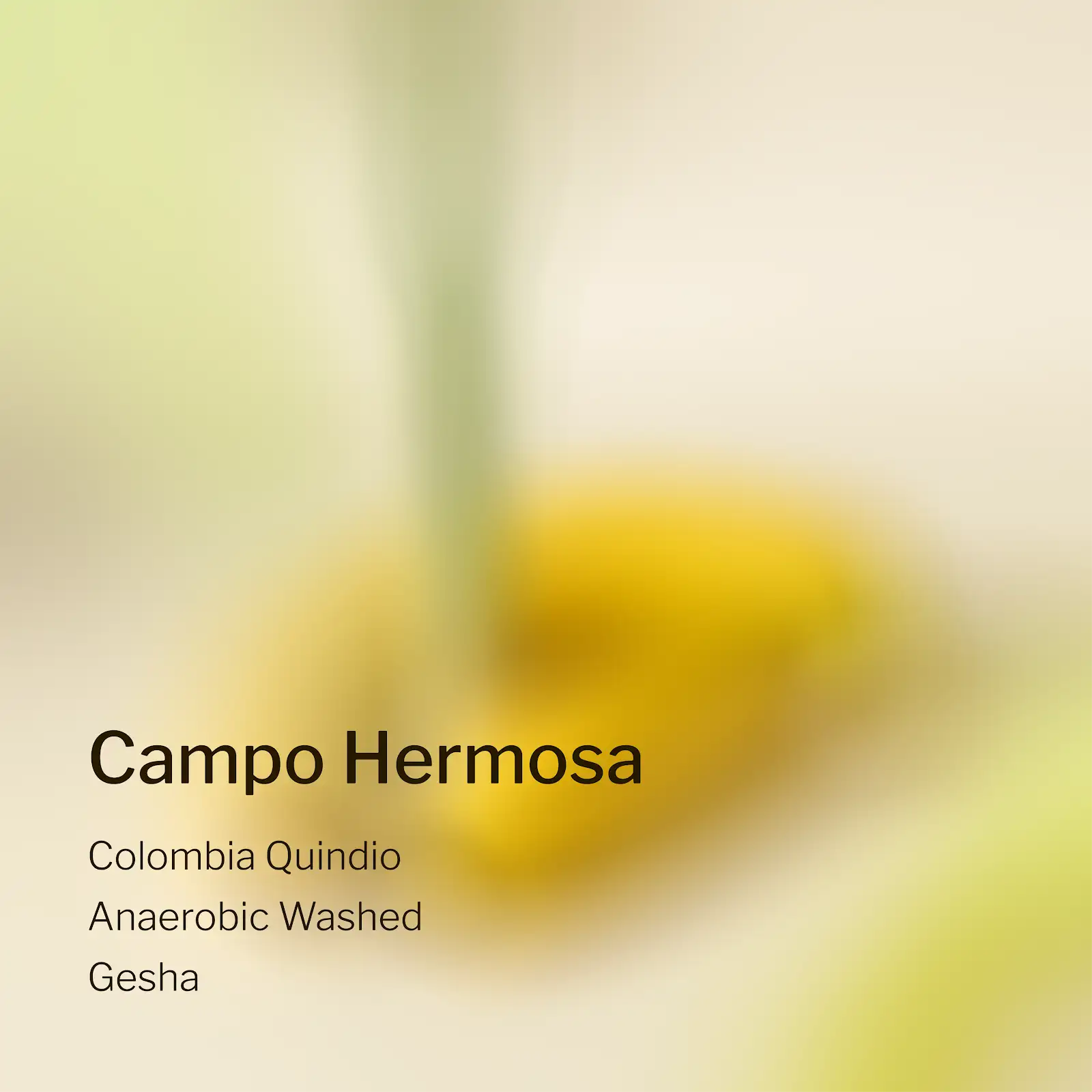 Ang Ang Roastery Colombia Quindio Campo Hermosa – specialty coffee beans Malaysia