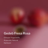 Ethiopia Yirgacheffe Gedeb Fresa Rosa