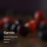 Panama Boquette Garrido