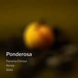 Panama Chiriqui Ponderosa