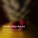 Costa Rica Brosa West Valley Infinity Hoja Ancha